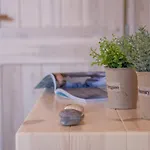 ヴィラ Avocado