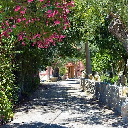 Avocado Villas Villa