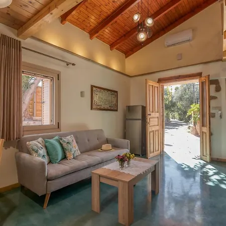 Avocado * خانيا